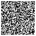 QR code with Bongo contacts