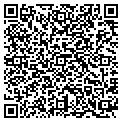 QR code with Colors contacts