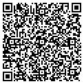 QR code with Istana contacts