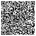 QR code with Kismat contacts