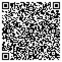 QR code with Rino's contacts