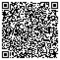 QR code with Dollop contacts