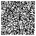 QR code with Stout contacts