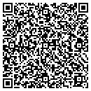 QR code with Curtin & Pease/Peneco contacts