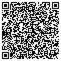 QR code with Salsas contacts