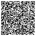 QR code with New Gao Sheng contacts