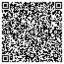 QR code with Punit Corp contacts
