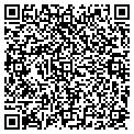 QR code with Roots contacts