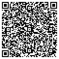 QR code with Curve contacts