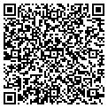 QR code with Togo's contacts