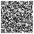 QR code with Subway contacts