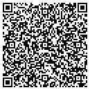 QR code with Prity Things contacts