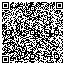 QR code with Carpet Carousel Inc contacts