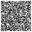 QR code with Carpet One Hicks contacts