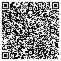QR code with New Life Gift contacts