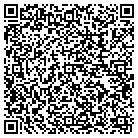 QR code with Baileys Lawn/Landscape contacts