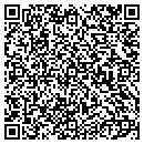 QR code with Precious Gifts & More contacts