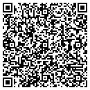 QR code with Pro Security contacts