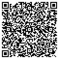QR code with M S CO contacts