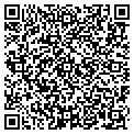QR code with B Shop contacts