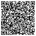 QR code with Meggie contacts