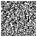 QR code with Pro Knit Inc contacts