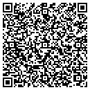 QR code with Precise Image Inc contacts