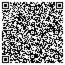 QR code with Pyne Clarion Inc contacts