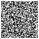 QR code with Print O Fabrics contacts