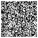 QR code with Producing Hit Records contacts