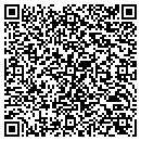 QR code with Consuelo Celemin Corp contacts