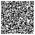 QR code with Lighting contacts