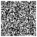 QR code with Public Storage contacts