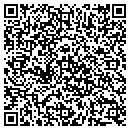 QR code with Public Storage contacts