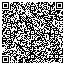QR code with Public Storage contacts