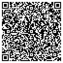 QR code with Chameleon Computer contacts