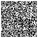 QR code with Pt Auto & Security contacts