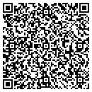 QR code with Pullian's Pet Center contacts