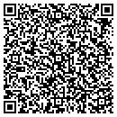 QR code with Boral Bricks Studio contacts