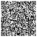 QR code with Pretty Little Things contacts
