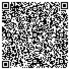 QR code with Professional Carpet Syst contacts