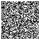 QR code with Precision Lapidary contacts