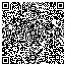 QR code with Process Electronics contacts