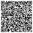 QR code with Process Imtimitation contacts