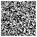 QR code with Provision Instruments contacts