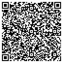 QR code with Precision Graphic Inc contacts