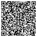 QR code with Todd Swinney contacts