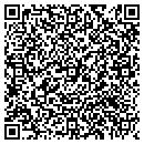 QR code with Profit Sales contacts