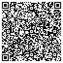QR code with Premier Pool & Spas contacts