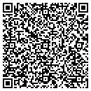 QR code with Babyant Com Inc contacts